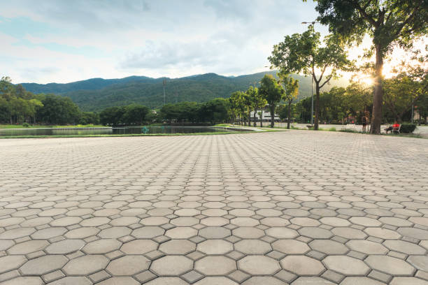 Best Professional Driveway Pavers  in Mahnomen, MN