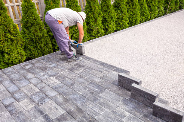 Best Decorative Driveway Pavers  in Mahnomen, MN