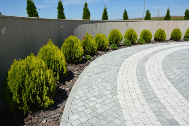 Best Brick Driveway Pavers  in Mahnomen, MN